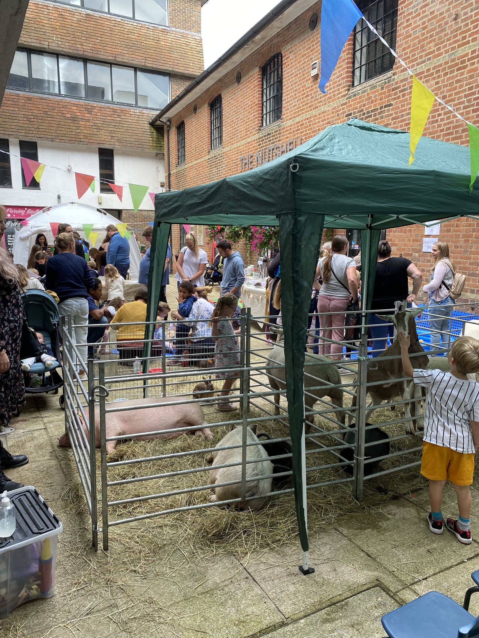 Small travelling petting farm